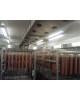 MATURING CHAMBER FOR PRODUCTION OF AIR DRIED SALAMI (9 TROLLEYS)